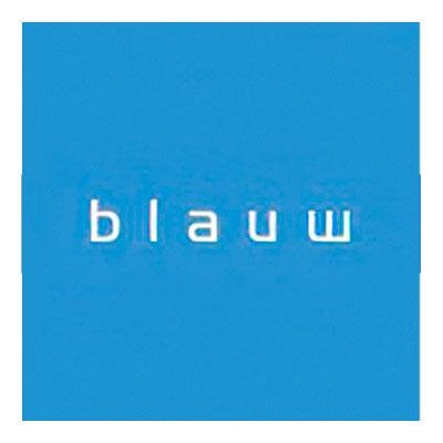 Logo Blauw research